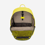 #colore_Citrus yellow