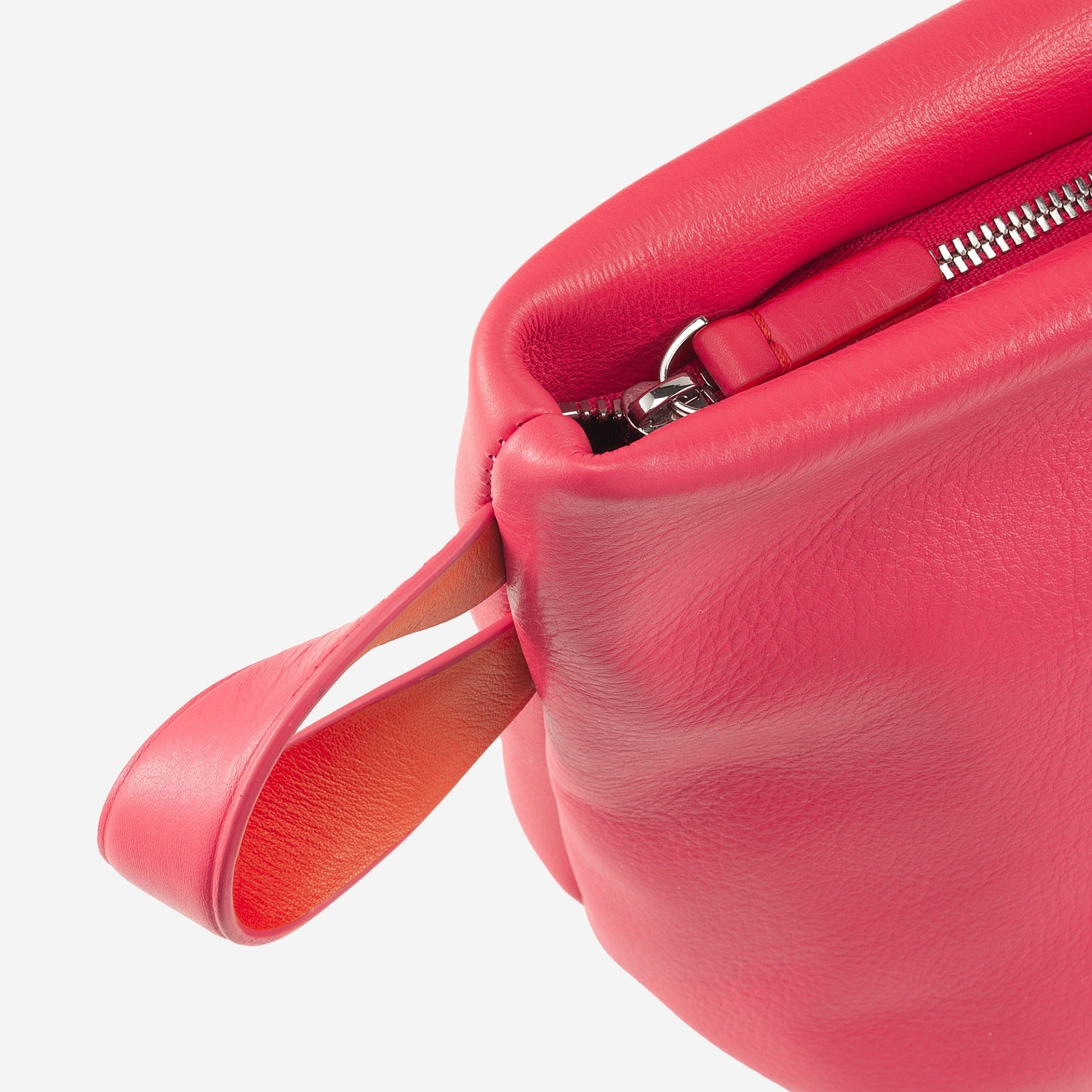 #colore_Lampone, Raspberry, Frambuesa, Малина, Framboise, Himbeere, Framboos, Raspberry