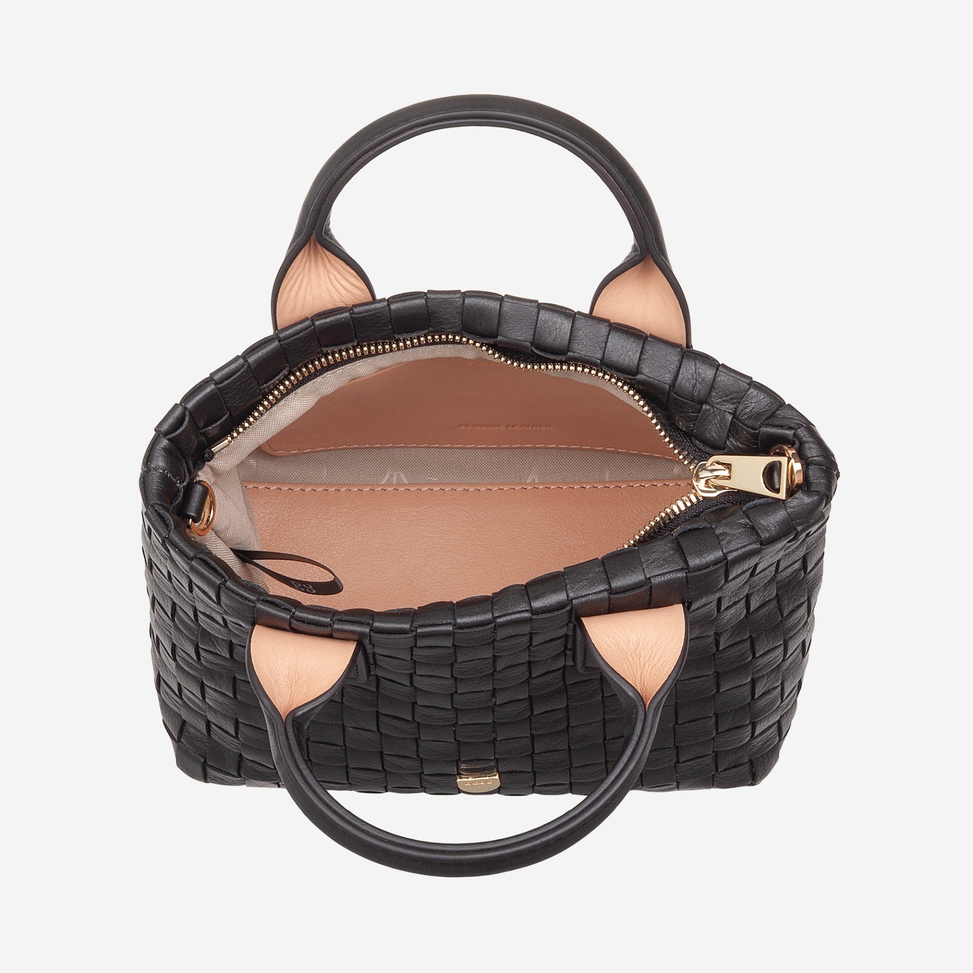 #colore_Nero rosa, Black rose, Negro rosa, Черная роза, Rose noir, Schwarz Rose, Zwart roos, Black rose