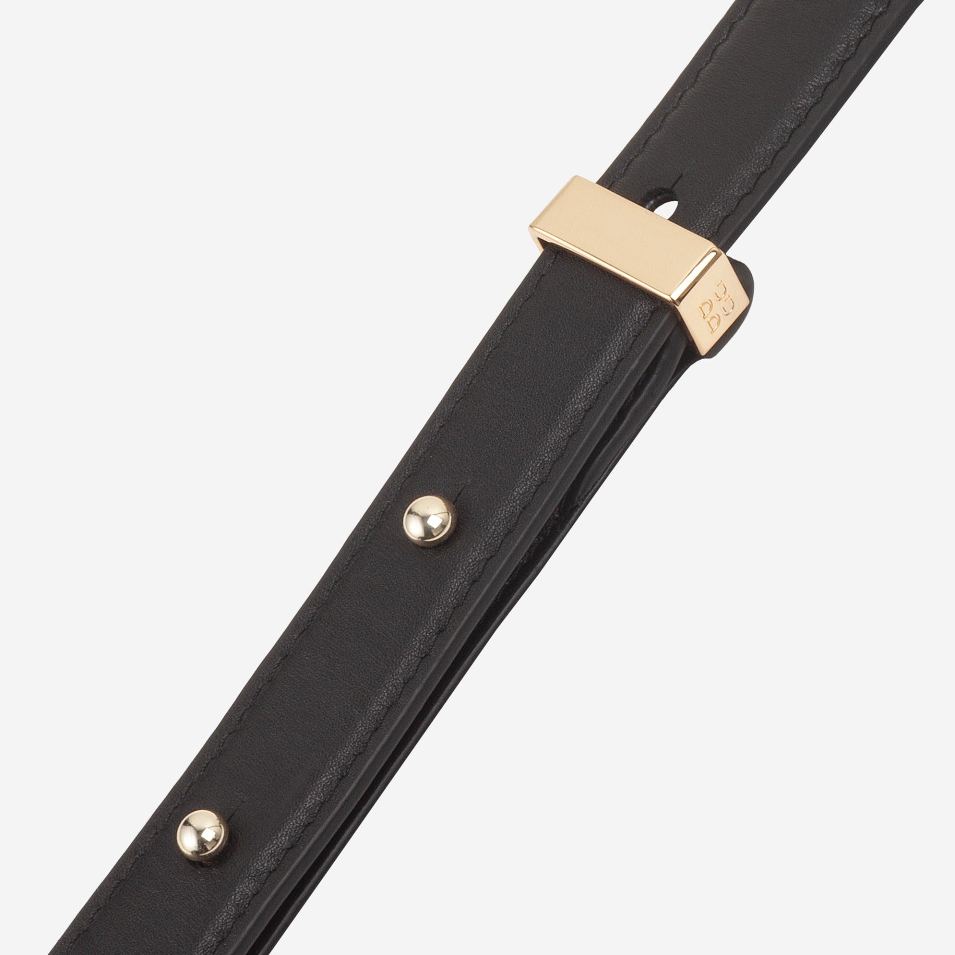 #colore_Nero rosa, Black rose, Negro rosa, Черная роза, Rose noir, Schwarz Rose, Zwart roos, Black rose