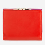 #colore_Fucsia, Fuchsia, Fucsia, фуксия, Fuchsia, Fuchsia, Fuchsia, Fuchsia