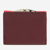 #colore_Lampone, Raspberry, Frambuesa, Малина, Framboise, Himbeere, Framboos, Raspberry