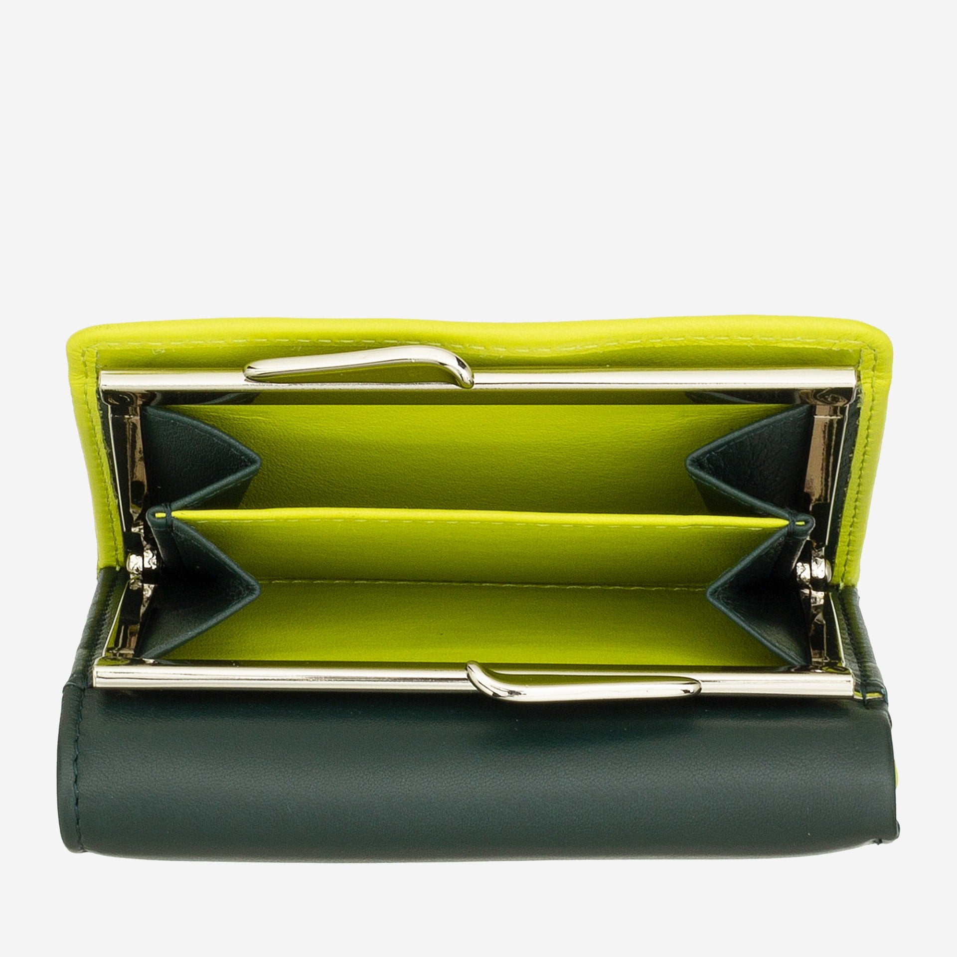 #colore_Mangrove, Mangrove, Mangrove, Форест Грин, Mangrove, Mangrove, Mangrove, Mangrove