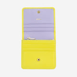 #colore_Multicolore2