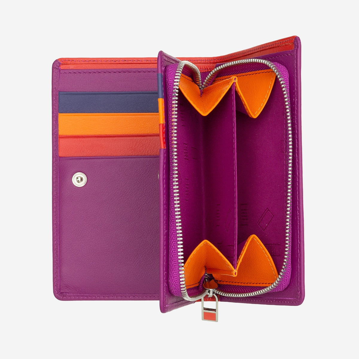 #colore_Fucsia, Fuchsia, Fucsia, фуксия, Fuchsia, Fuchsia, Fuchsia, Fuchsia