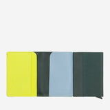 #colore_Mangrove, Mangrove, Mangrove, Форест Грин, Mangrove, Mangrove, Mangrove, Mangrove