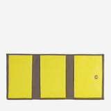 #colore_Taupe