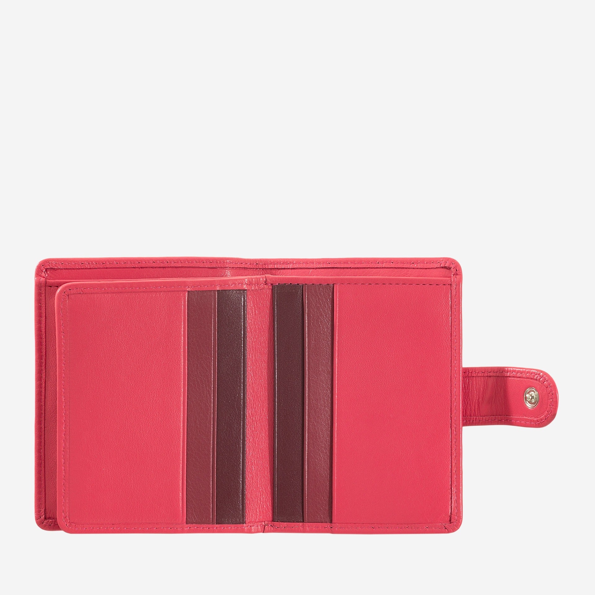 #colore_Lampone, Raspberry, Frambuesa, Малина, Framboise, Himbeere, Framboos, Raspberry