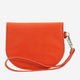 #colore_Zucca, Pumpkin orange, Calabaza, Тыквенный, Citrouille, Kürbis, Pompoen, Pumpkin orange