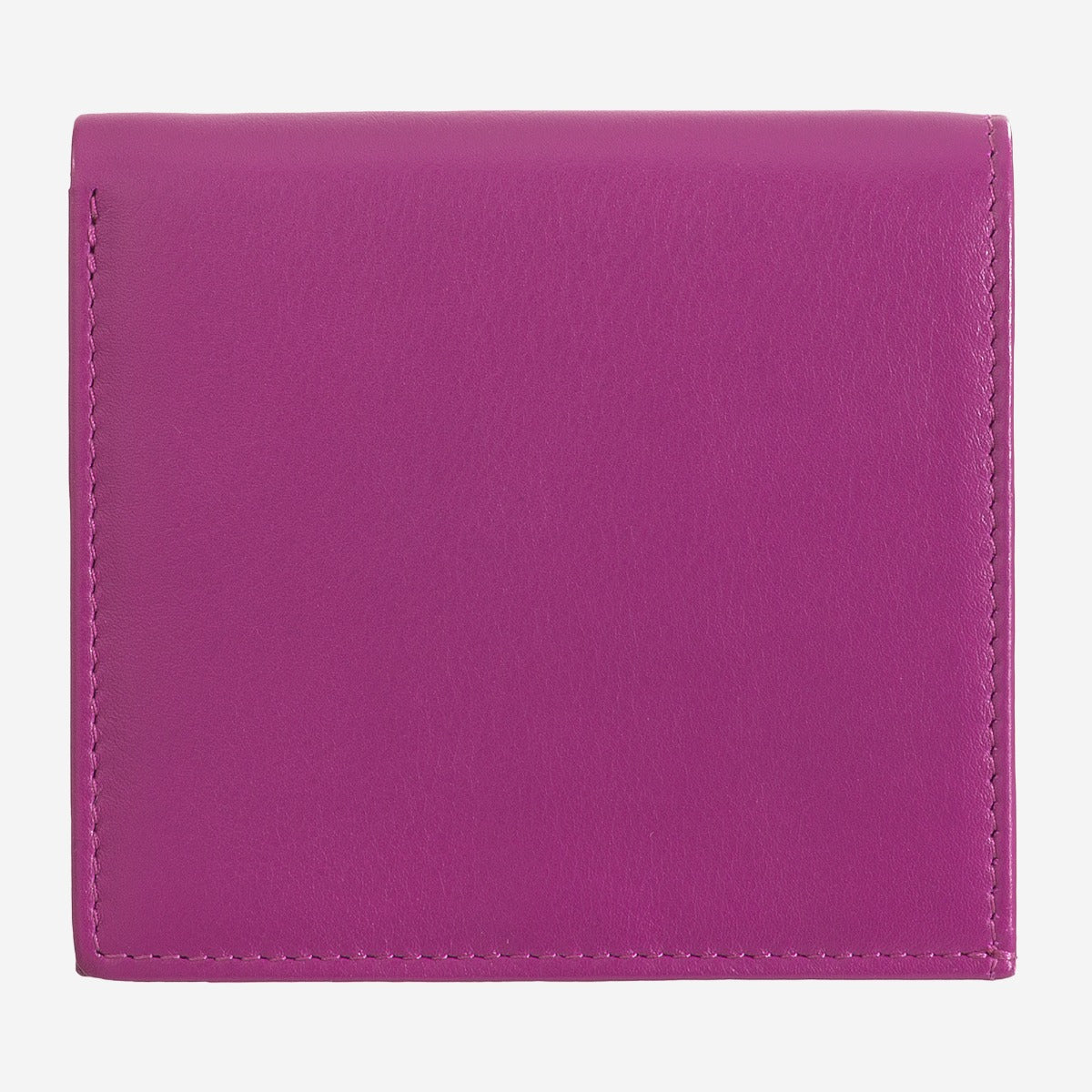 #colore_Fucsia, Fuchsia, Fucsia, фуксия, Fuchsia, Fuchsia, Fuchsia, Fuchsia