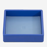 #colore_Fiordaliso, Cornflower blue, Aciano, Васильковый, Bleuet, Kornblume, Korenbloem, Cornflower blue