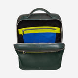 #colore_Mangrove, Mangrove, Mangrove, Форест Грин, Mangrove, Mangrove, Mangrove, Mangrove