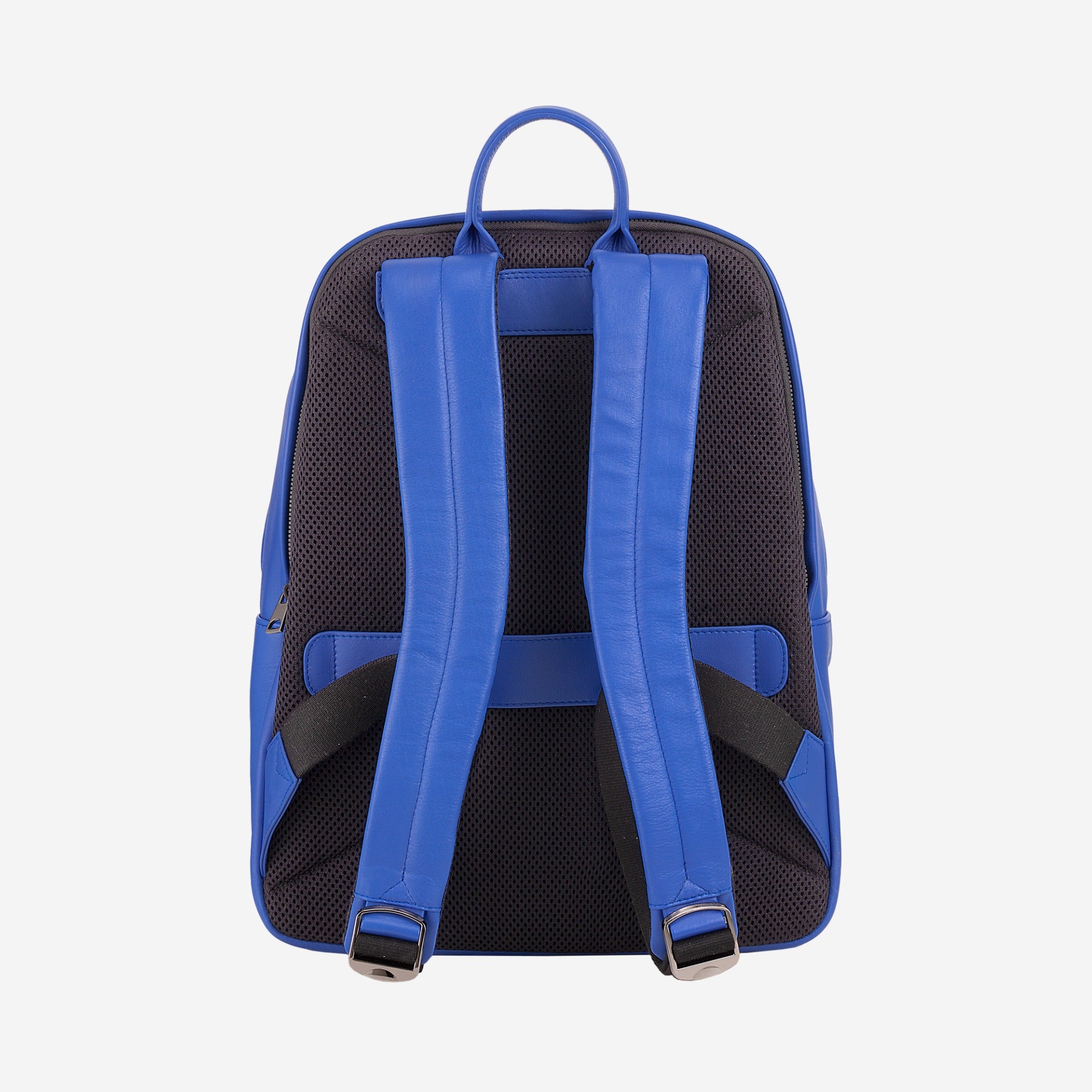 #colore_Fiordaliso, Cornflower blue, Aciano, Васильковый, Bleuet, Kornblume, Korenbloem, Cornflower blue