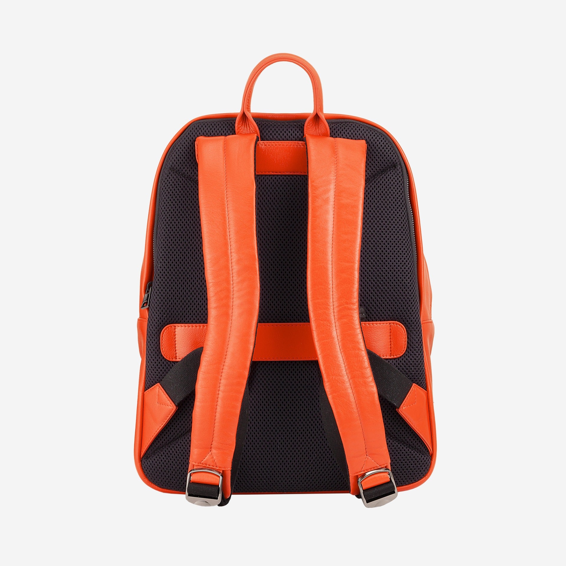 #colore_Zucca, Pumpkin orange, Calabaza, Тыквенный, Citrouille, Kürbis, Pompoen, Pumpkin orange