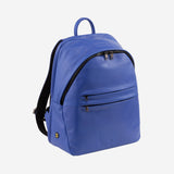 #colore_Fiordaliso, Cornflower blue, Aciano, Васильковый, Bleuet, Kornblume, Korenbloem, Cornflower blue