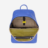 #colore_Fiordaliso, Cornflower blue, Aciano, Васильковый, Bleuet, Kornblume, Korenbloem, Cornflower blue