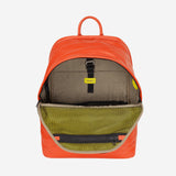 #colore_Zucca, Pumpkin orange, Calabaza, Тыквенный, Citrouille, Kürbis, Pompoen, Pumpkin orange