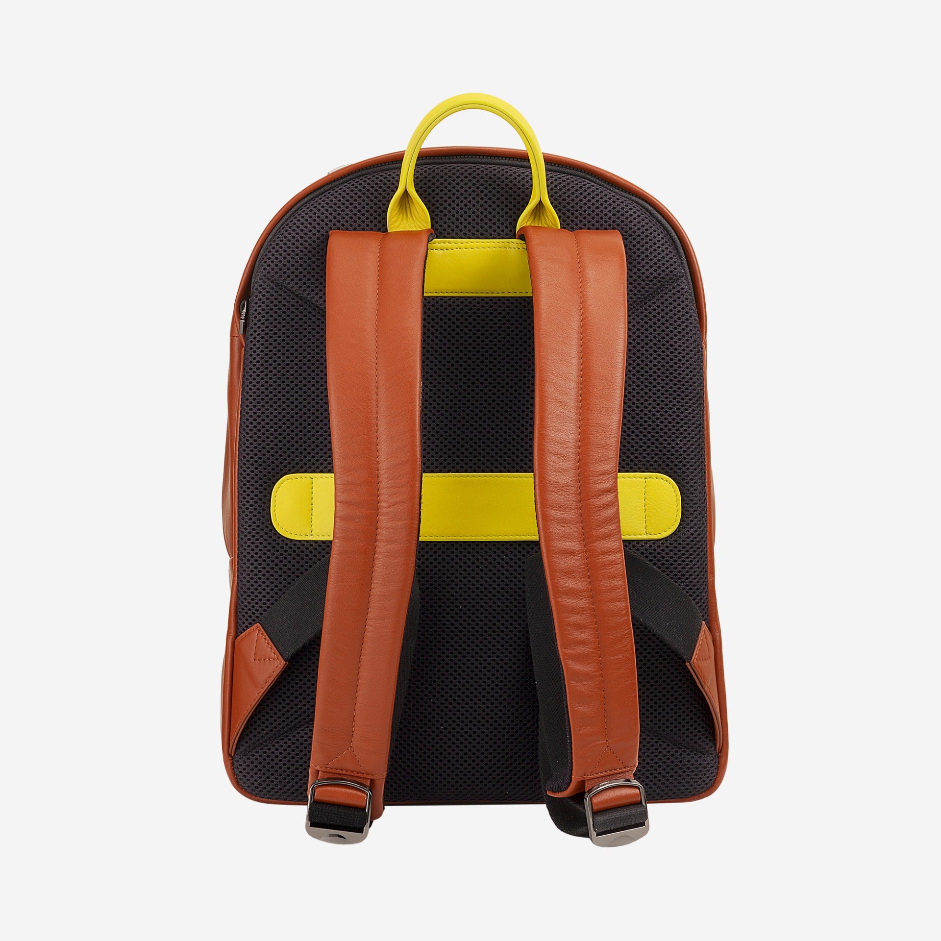 #colore_Cannella, Cinnamon, Canela, Корица, Cannelle, Zimt, Kaneel, Cinnamon